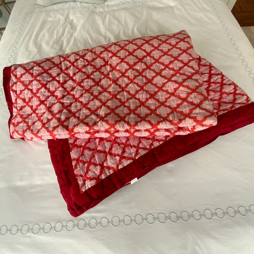 Roberta Roller Rabbit JeminaTwin Size Coverlet and 2 matching Euro Sham Covers